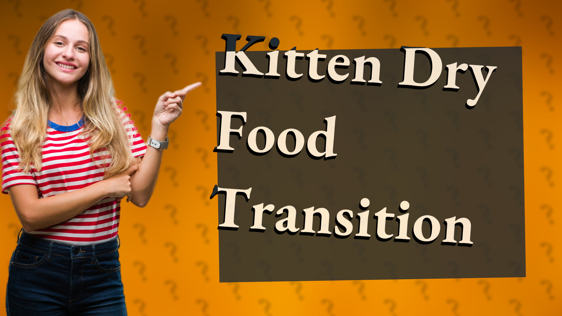 Kitten Dry Food Transition