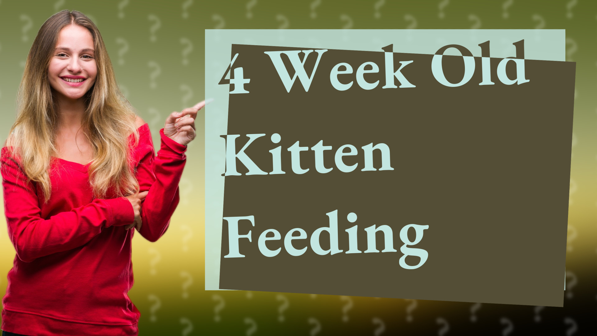 4 Week Old Kitten Feeding