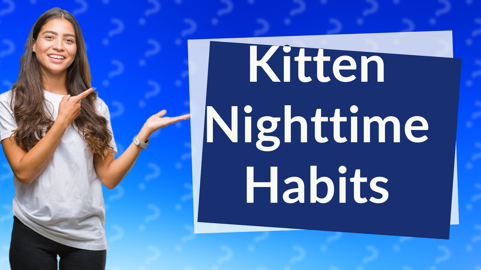 Kitten Nighttime Habits