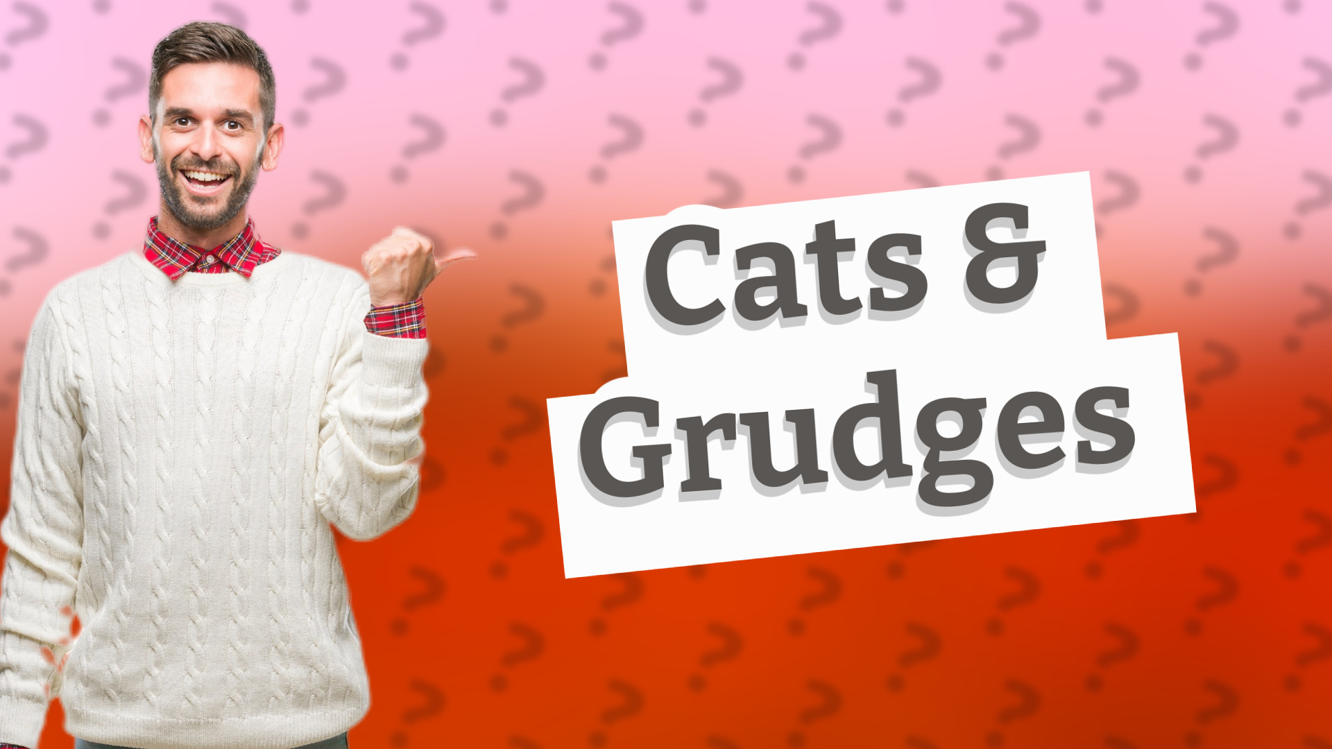 Cats & Grudges