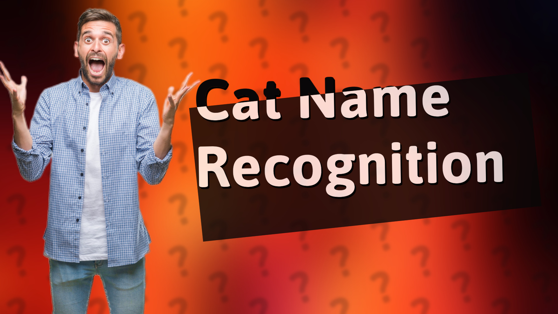 Cat Name Recognition