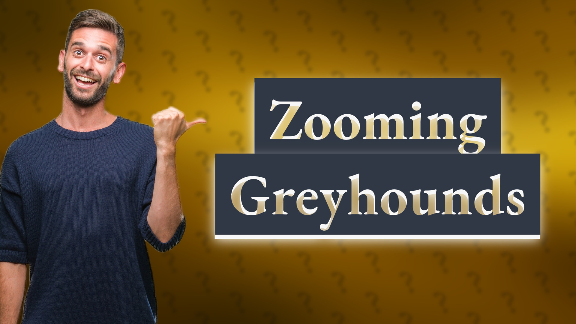 Zooming Greyhounds
