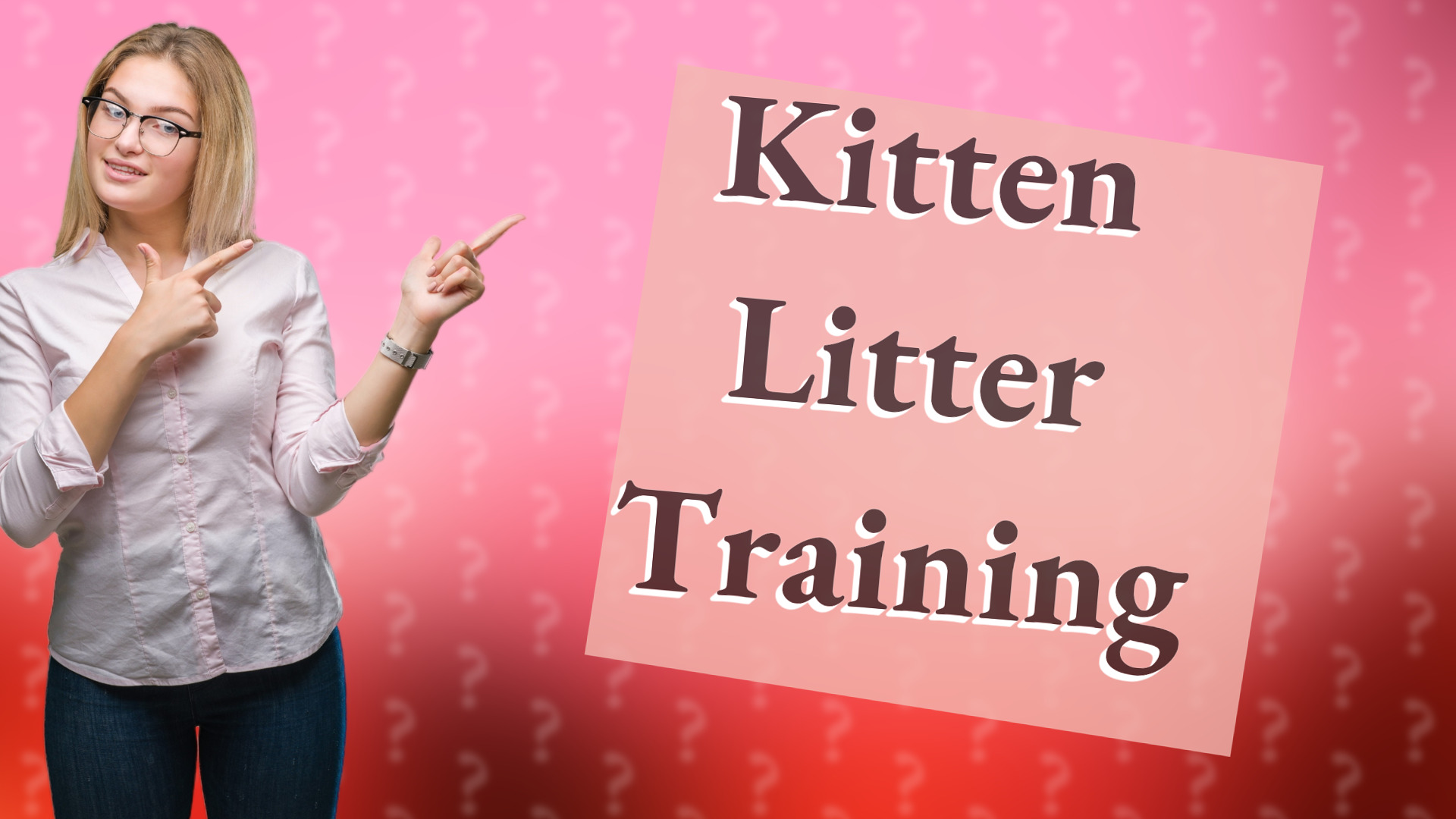 Kitten Litter Training