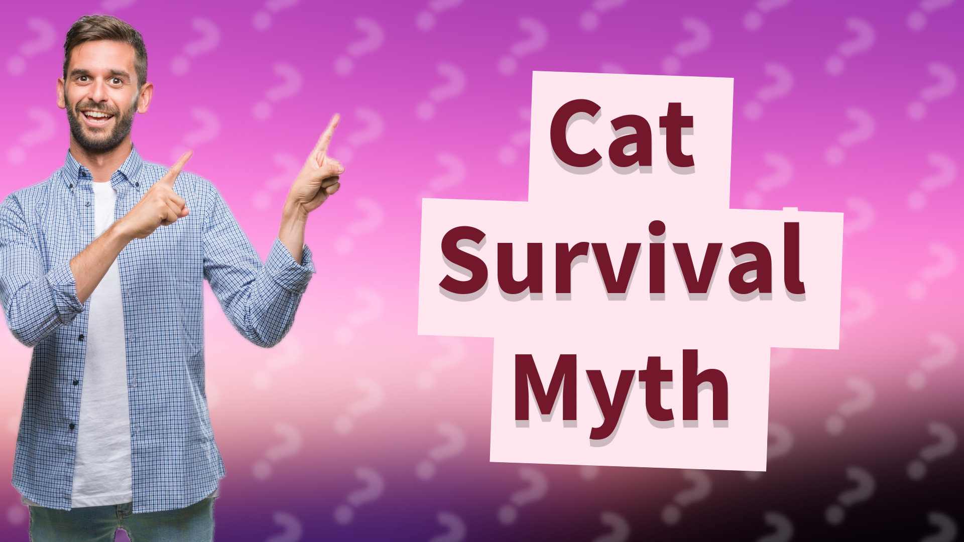 Cat Survival Myth