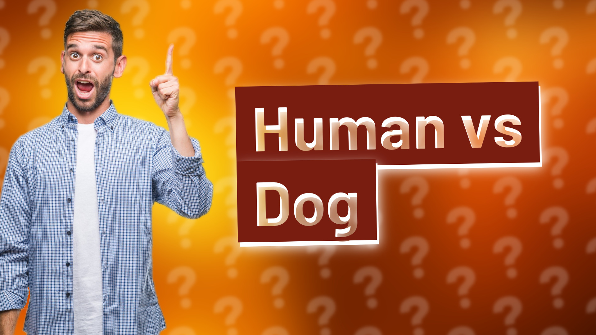Human vs Dog