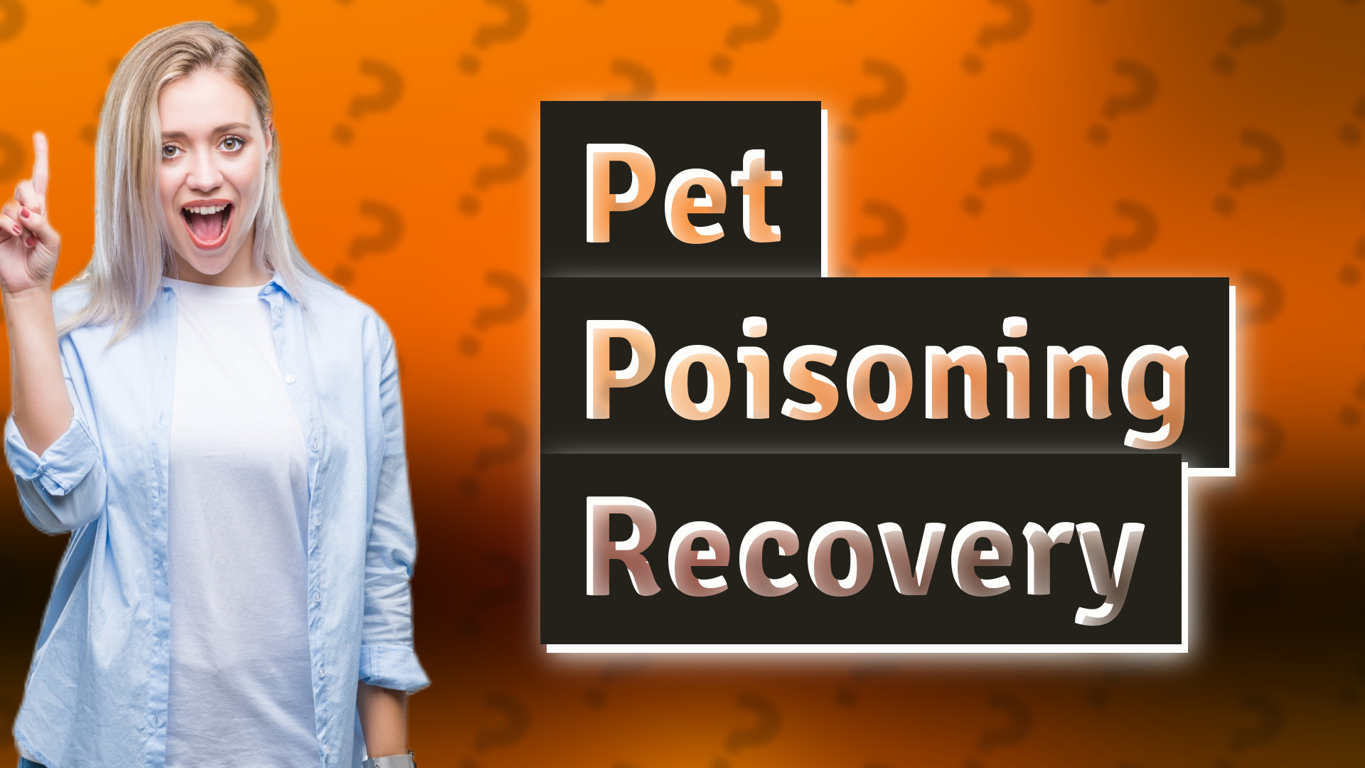 Pet Poisoning Recovery
