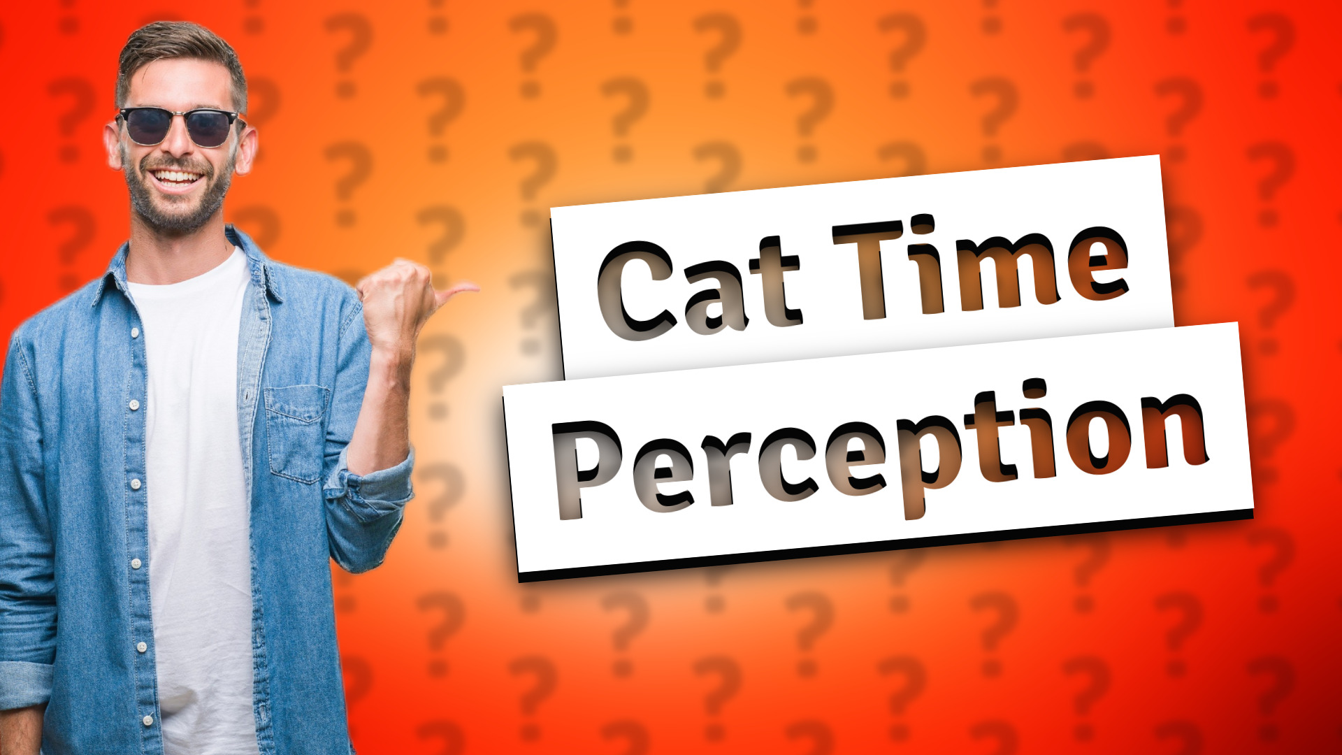 Cat Time Perception