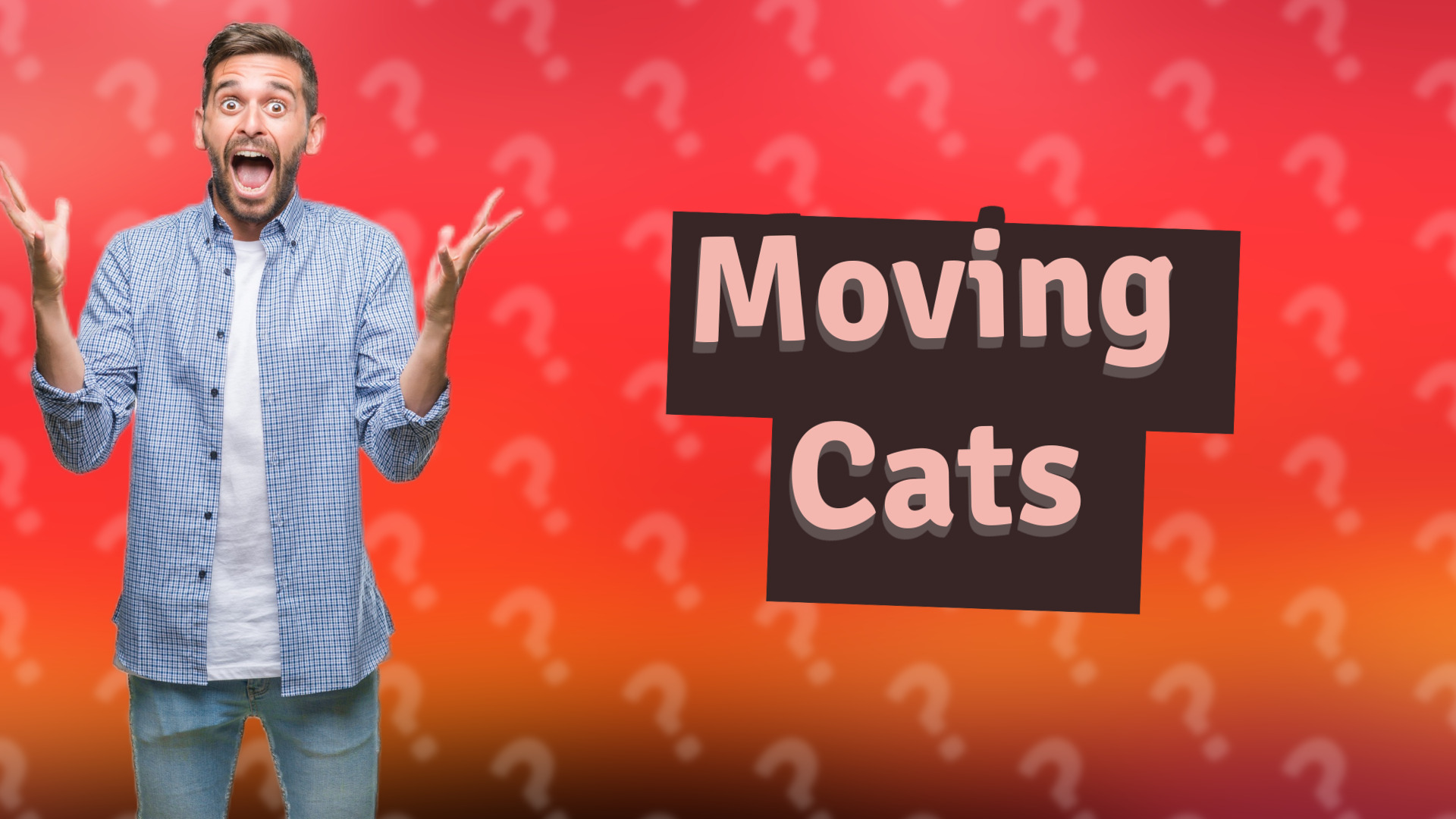 Moving Cats