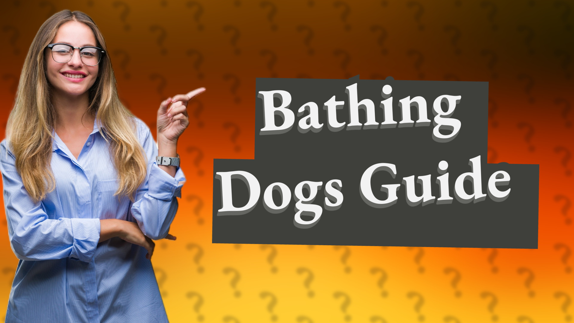 Bathing Dogs Guide