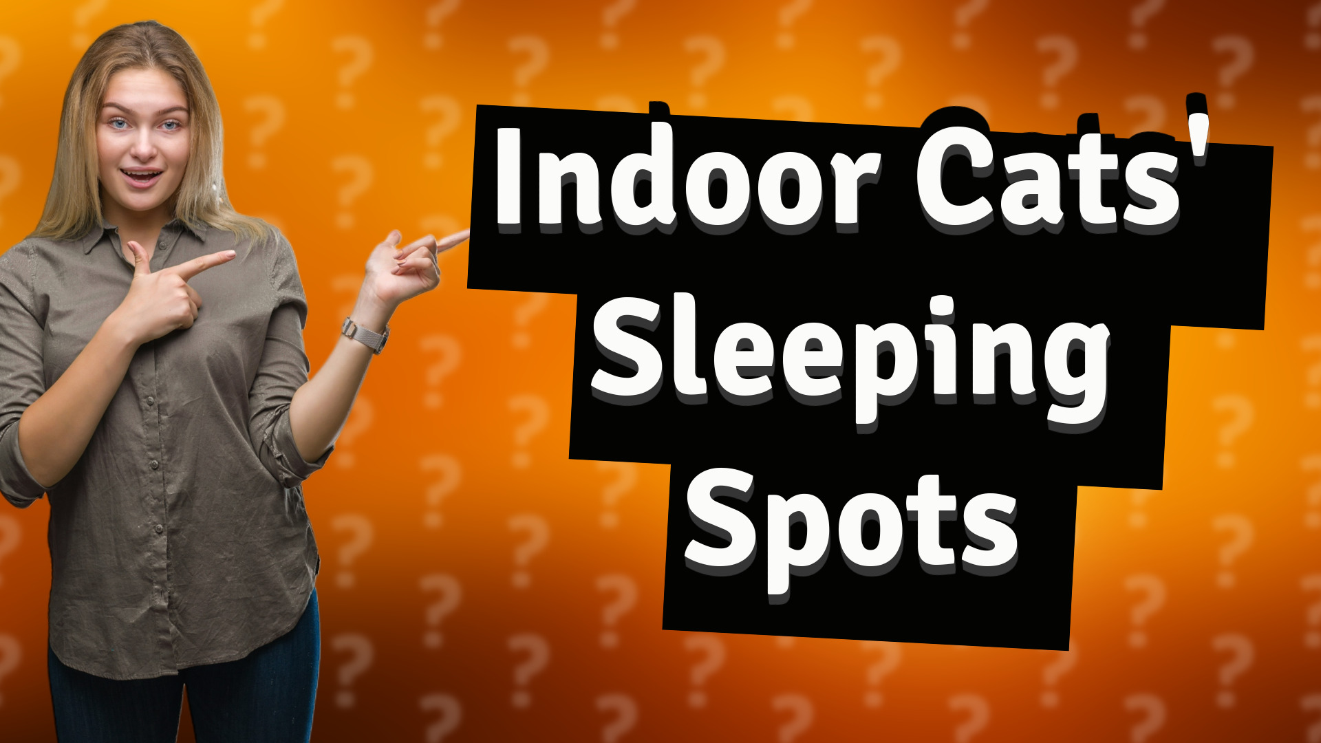 Indoor Cats' Sleeping Spots