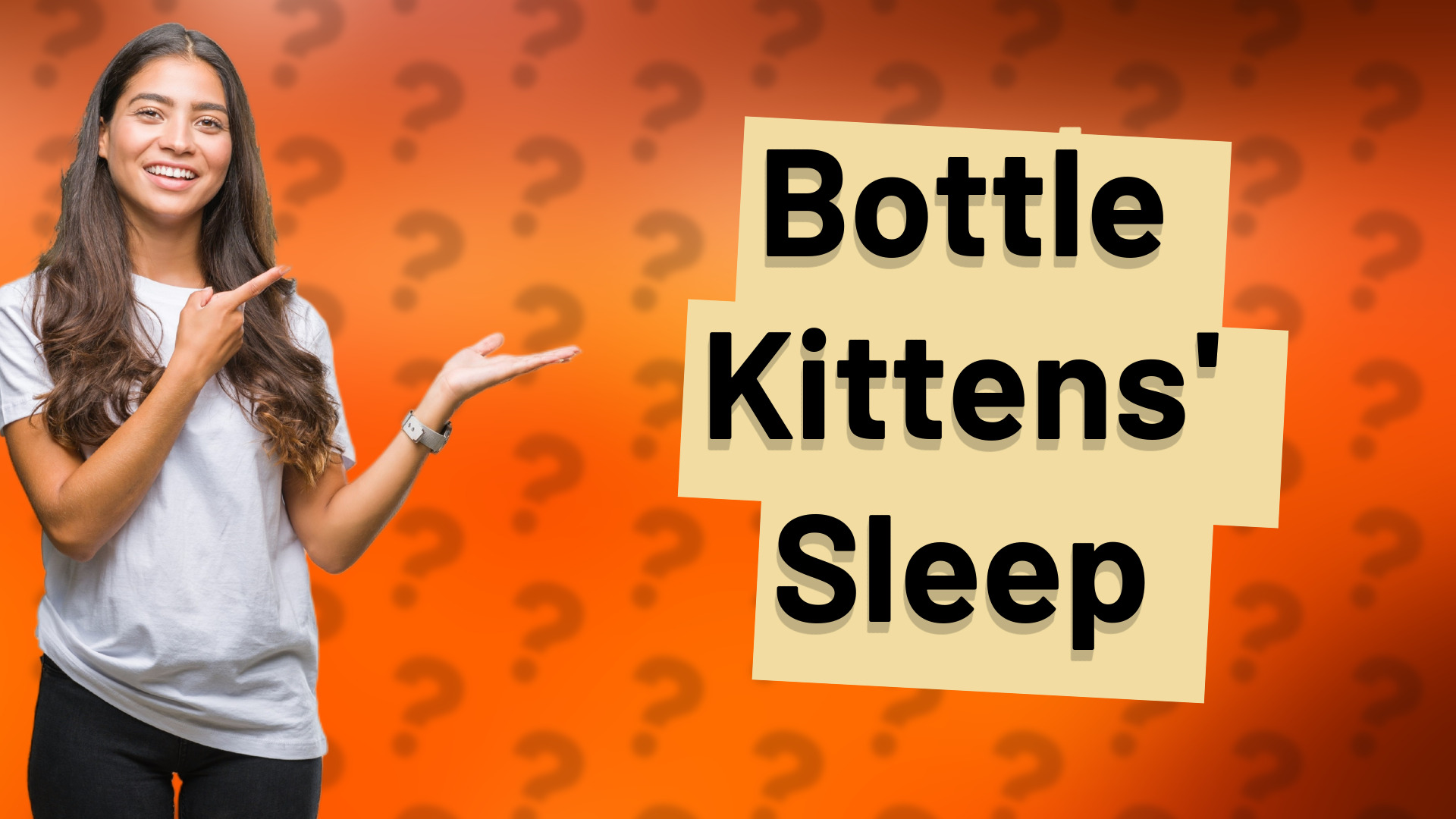 Bottle Kittens' Sleep