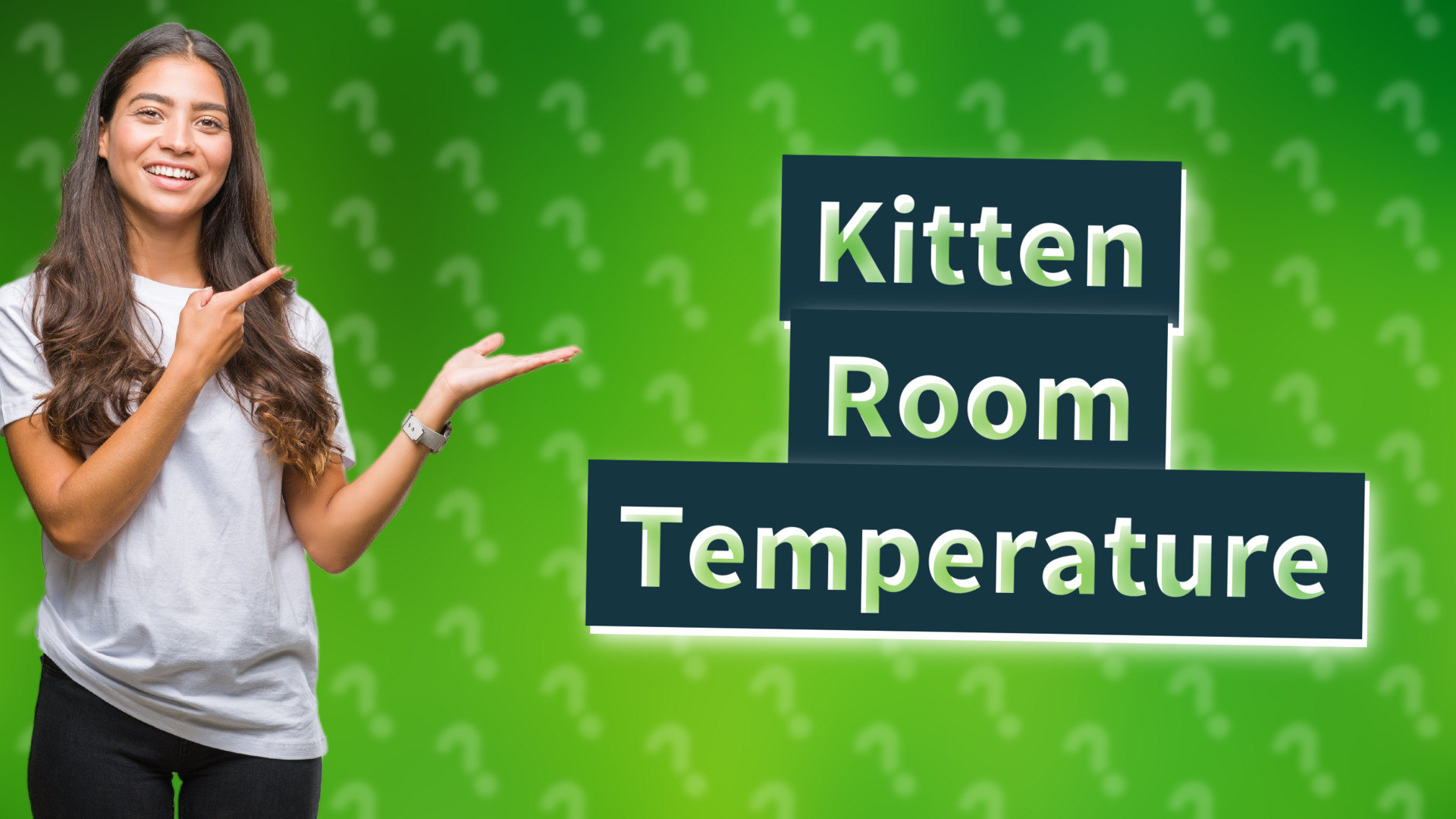 Kitten Room Temperature