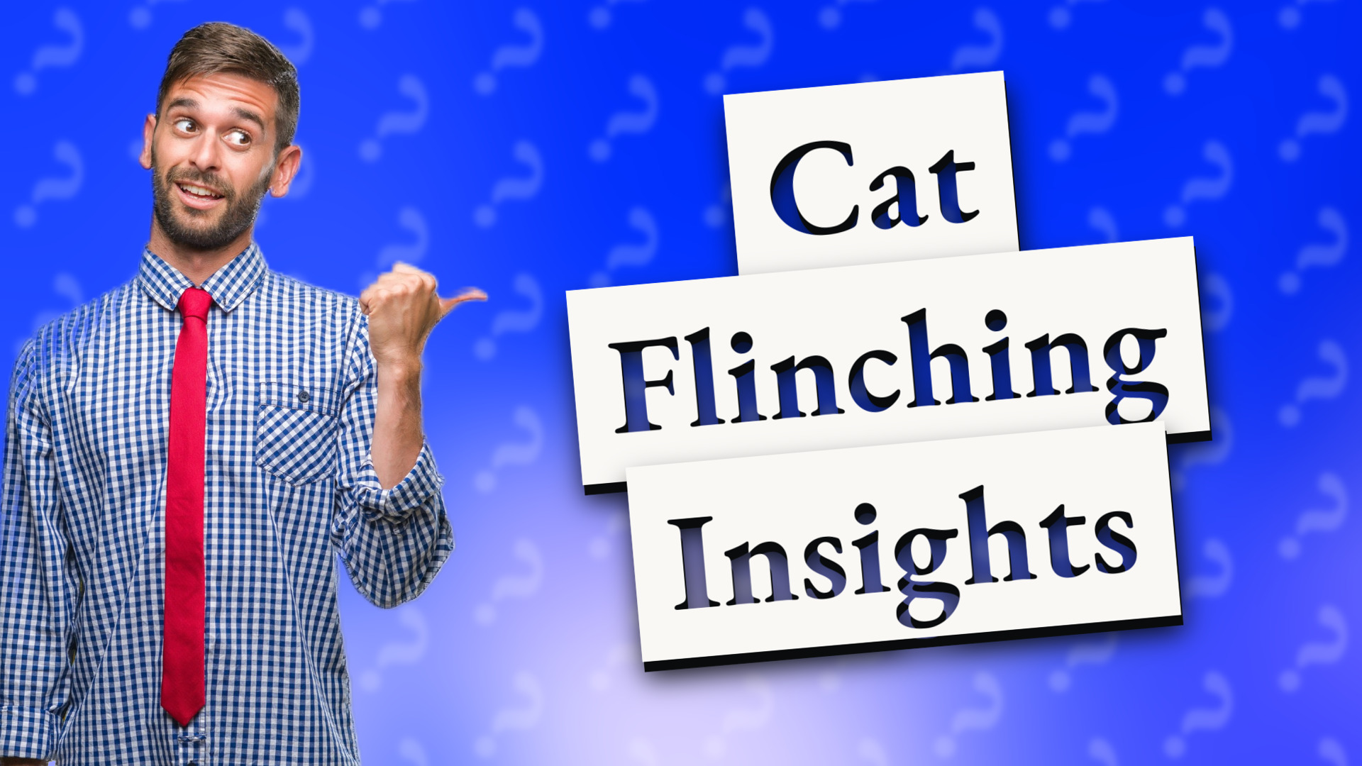 Cat Flinching Insights