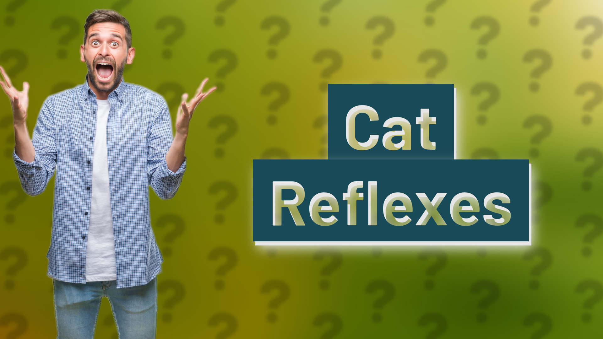 Cat Reflexes