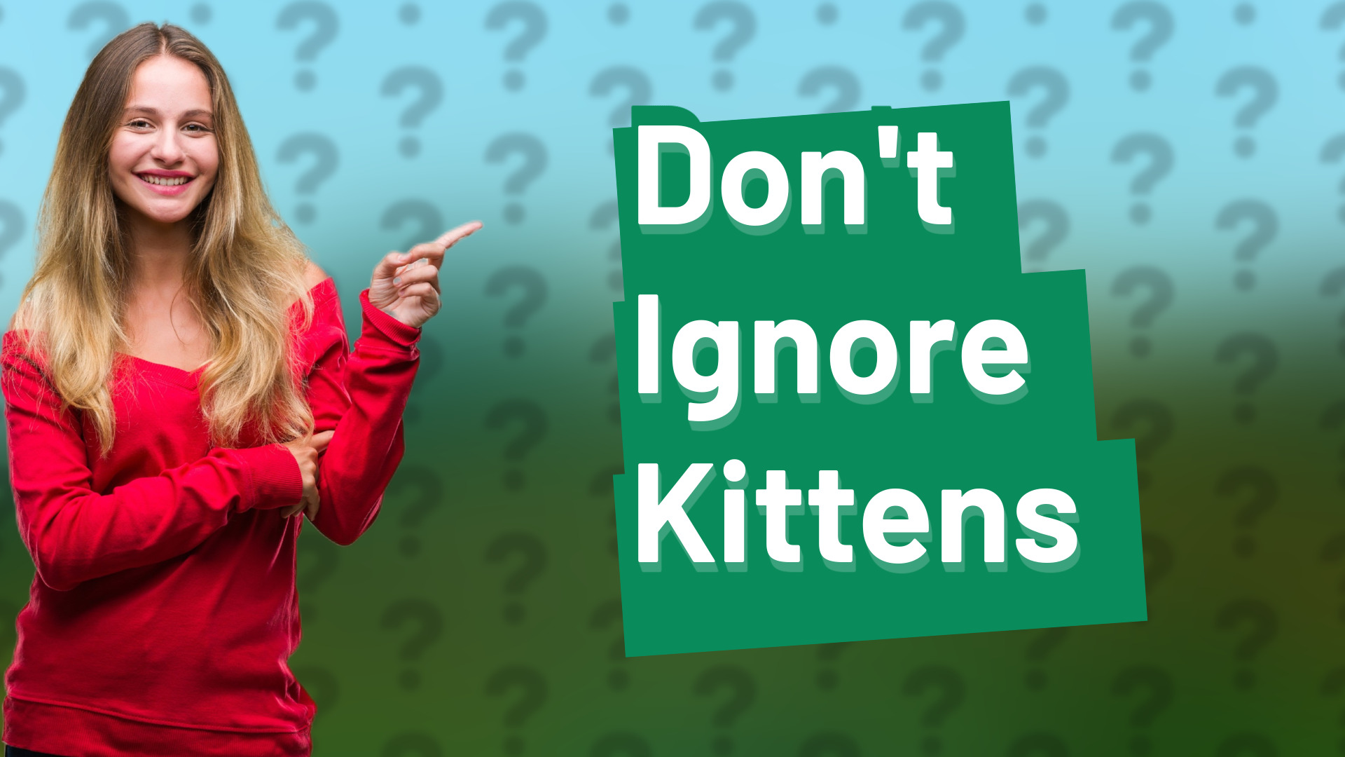 Don't Ignore Kittens