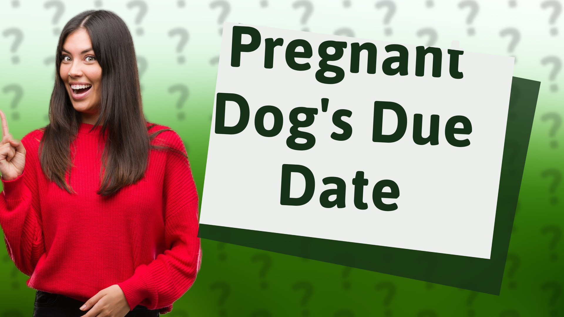 Pregnant Dog's Due Date