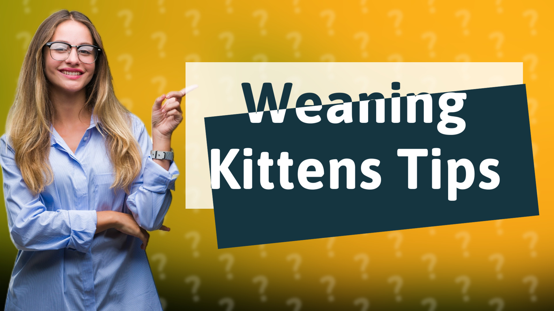 Weaning Kittens Tips