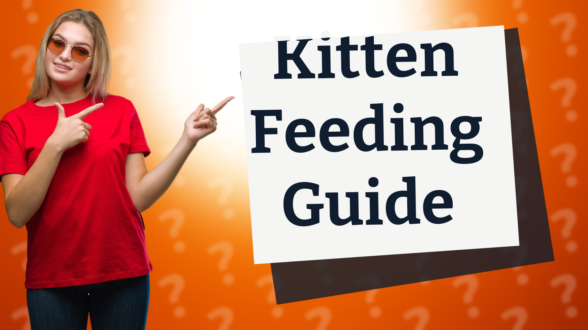Kitten Feeding Guide