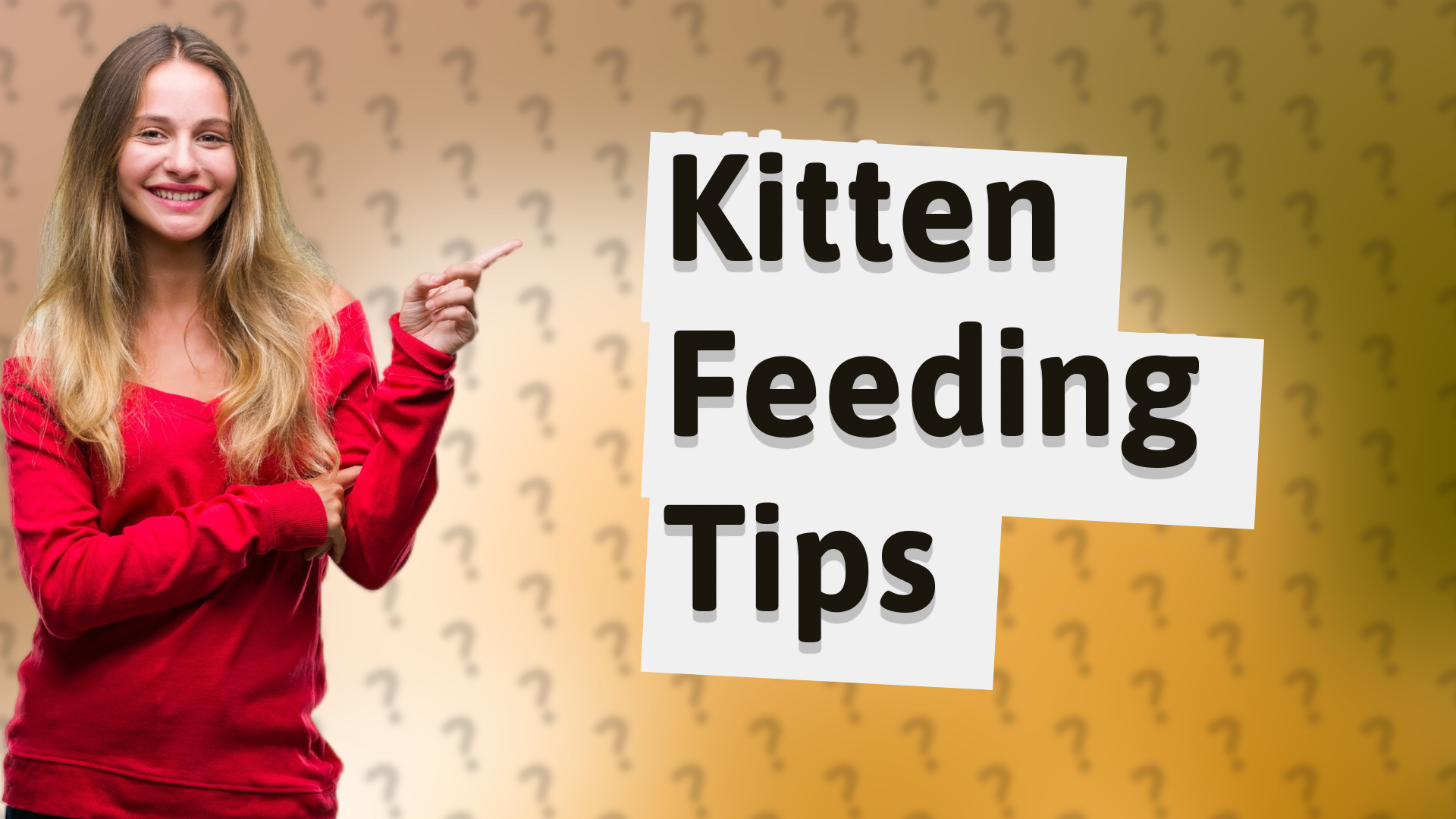 Kitten Feeding Tips