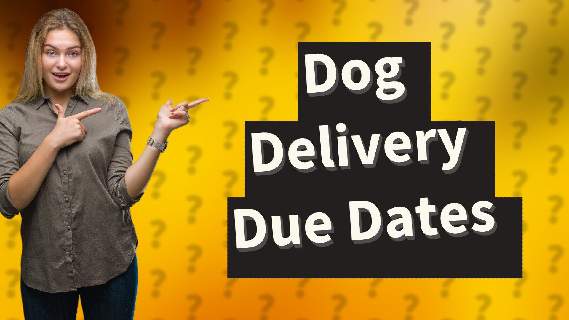 Dog Delivery Due Dates