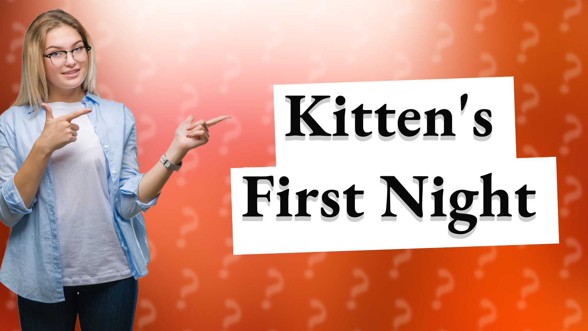 Kitten's First Night