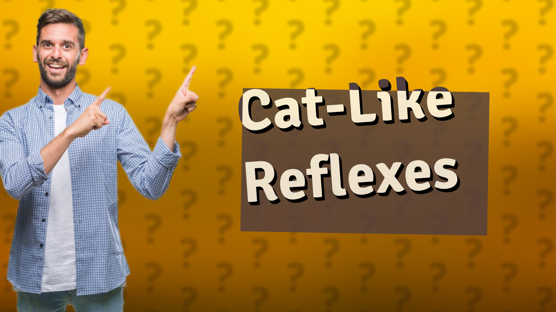 Cat-Like Reflexes