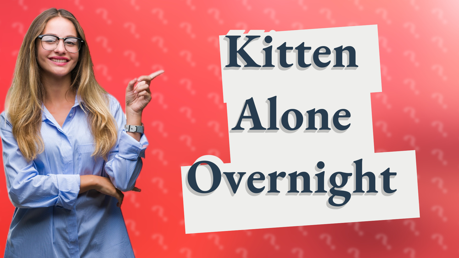 Kitten Alone Overnight
