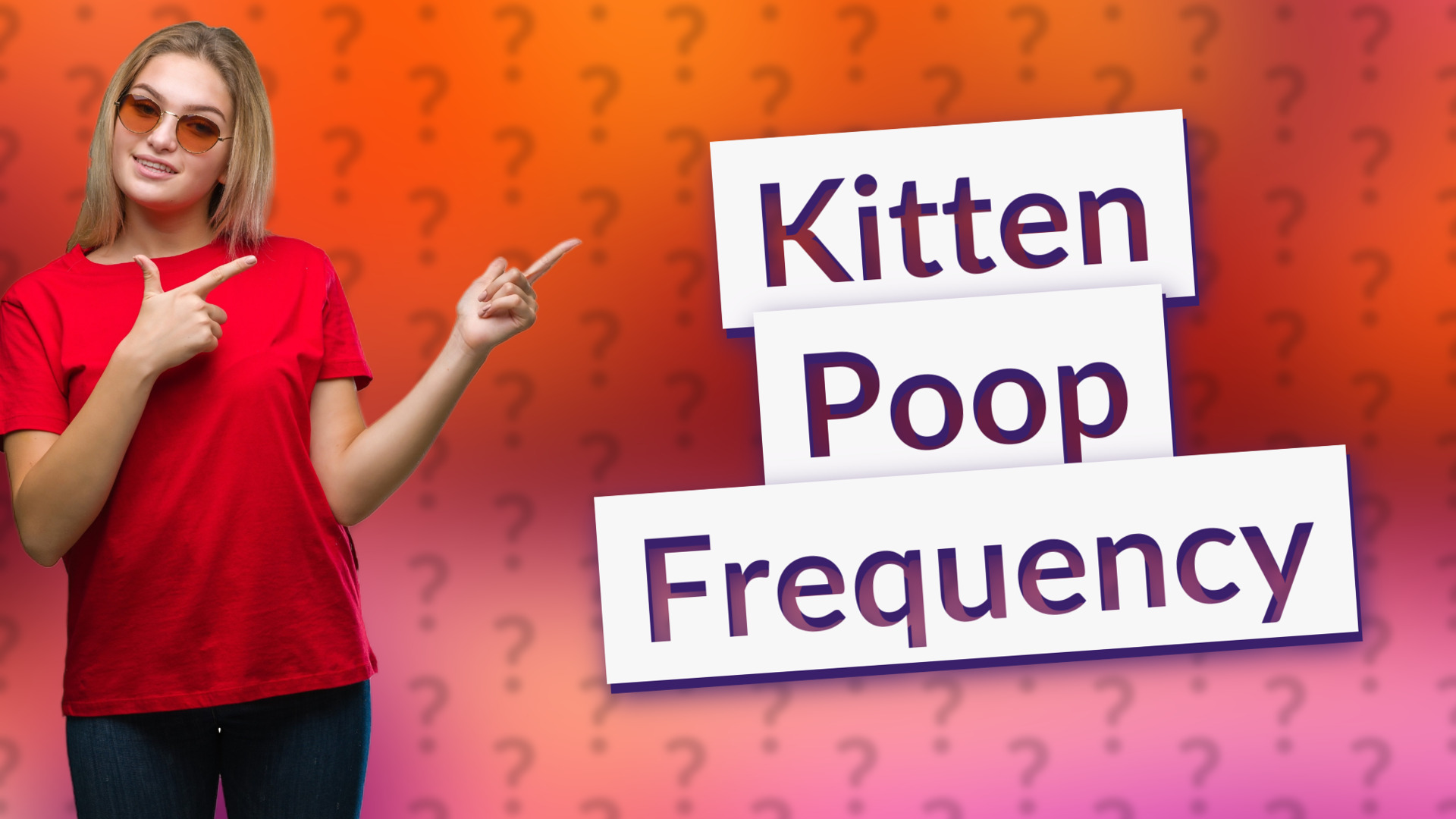 Kitten Poop Frequency