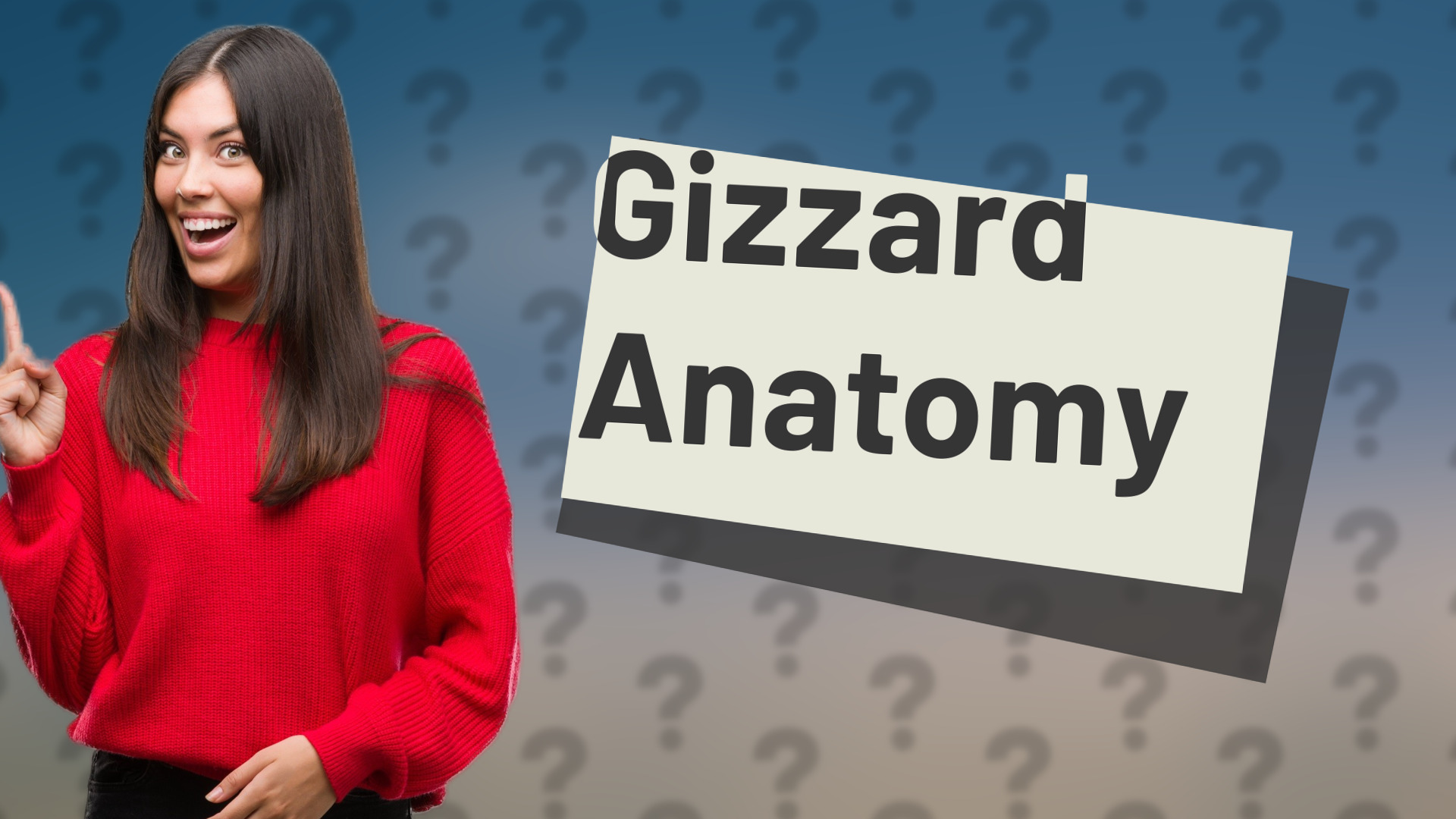Gizzard Anatomy