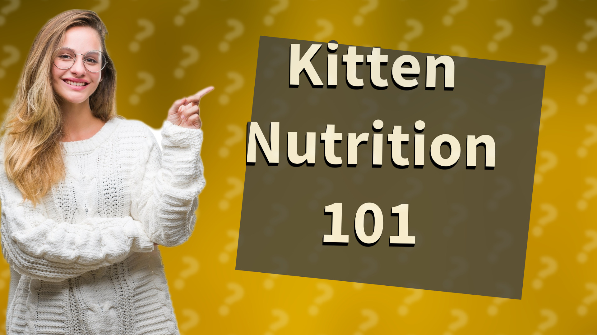 Kitten Nutrition 101