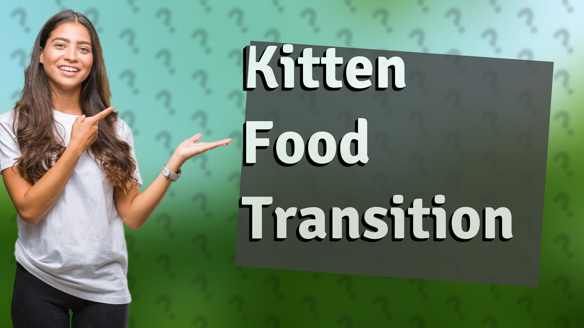 Kitten Food Transition