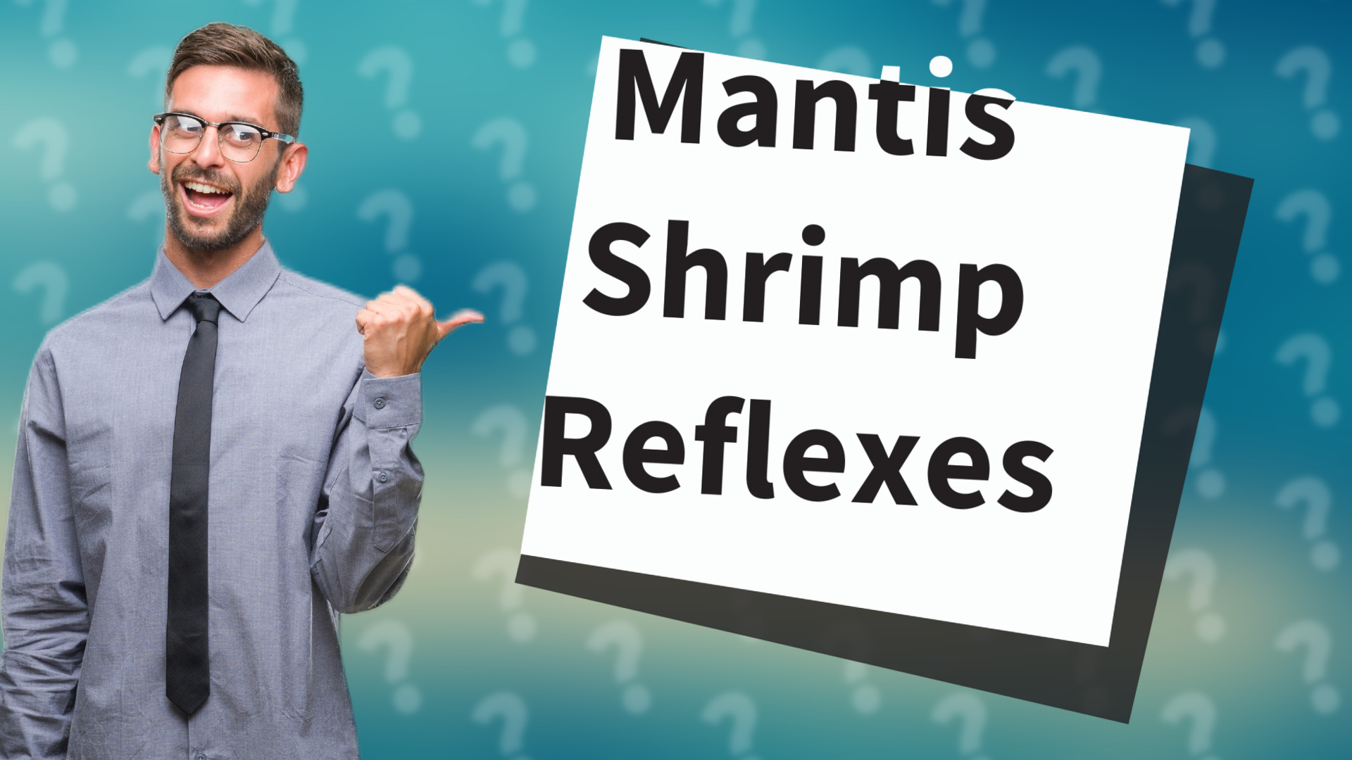 Mantis Shrimp Reflexes