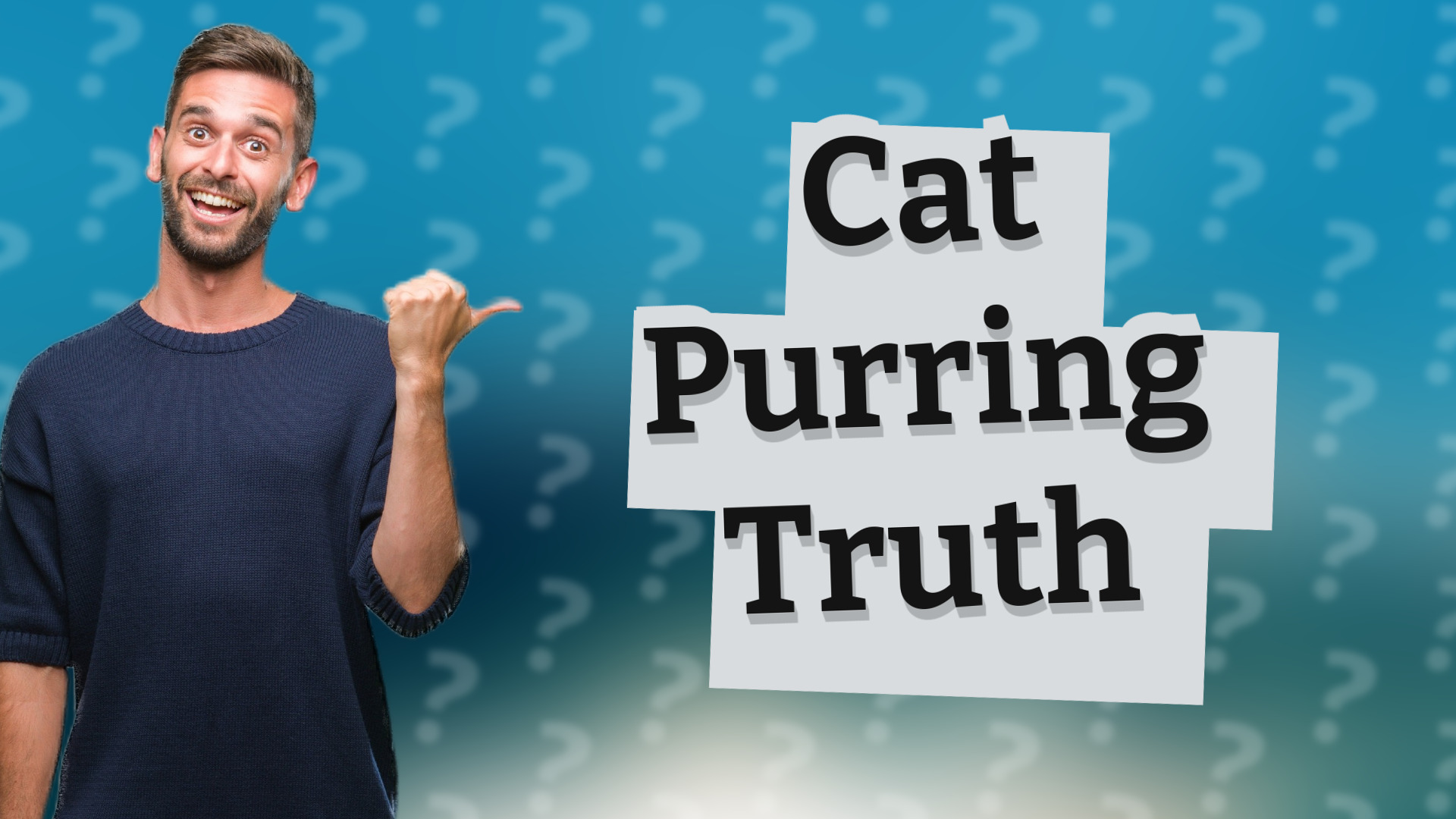 Cat Purring Truth