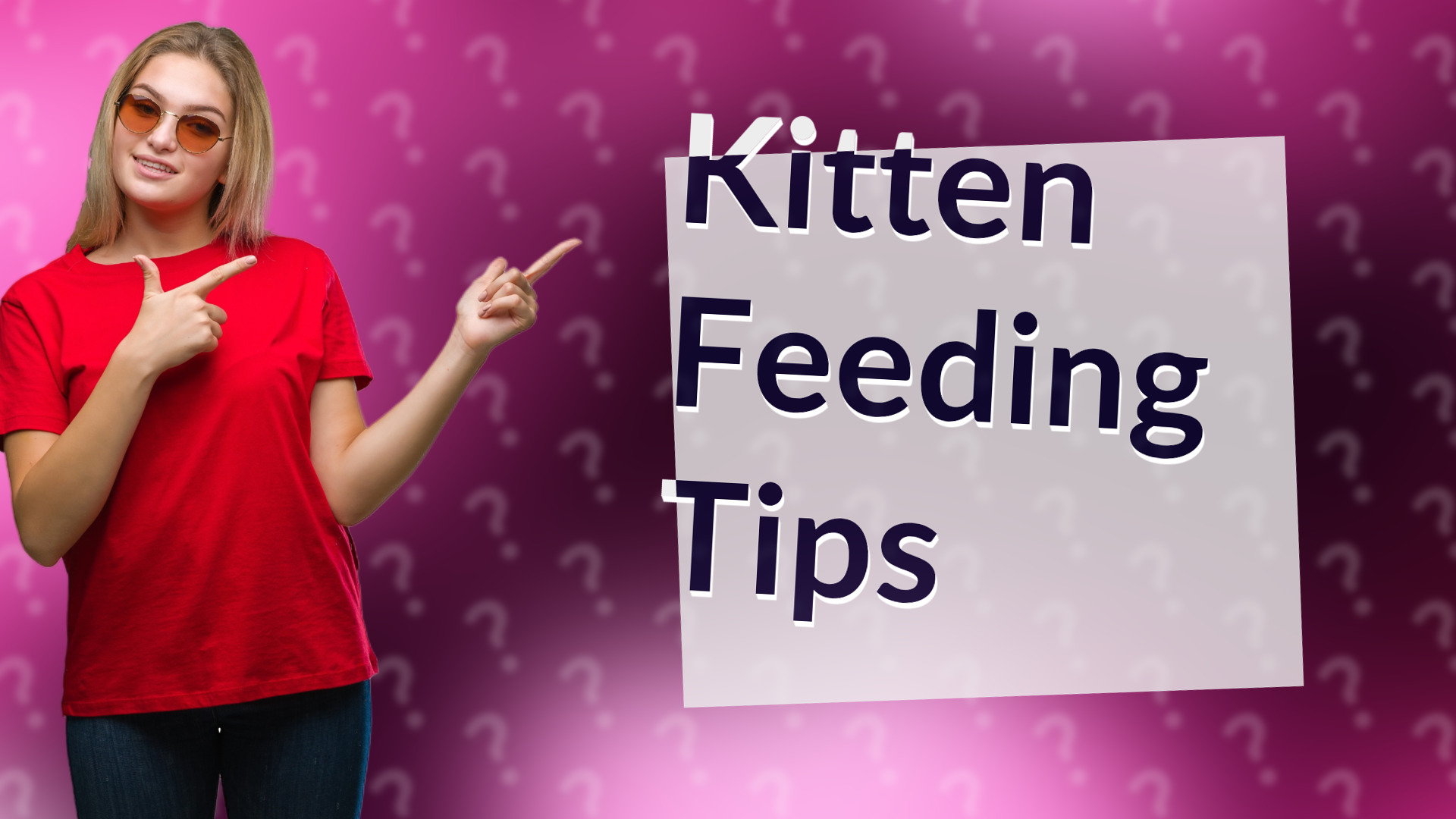 Kitten Feeding Tips