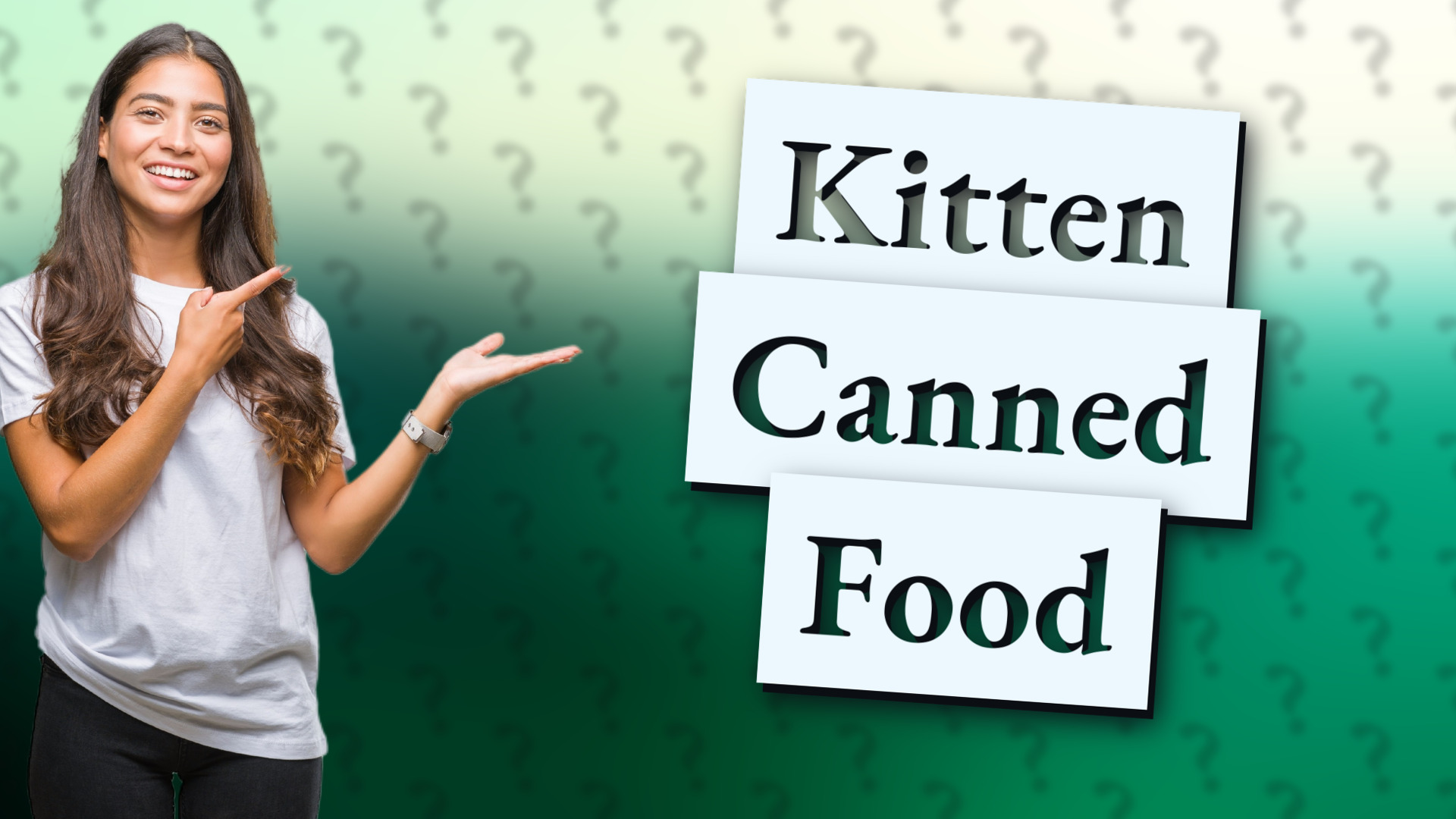 Kitten Canned Food