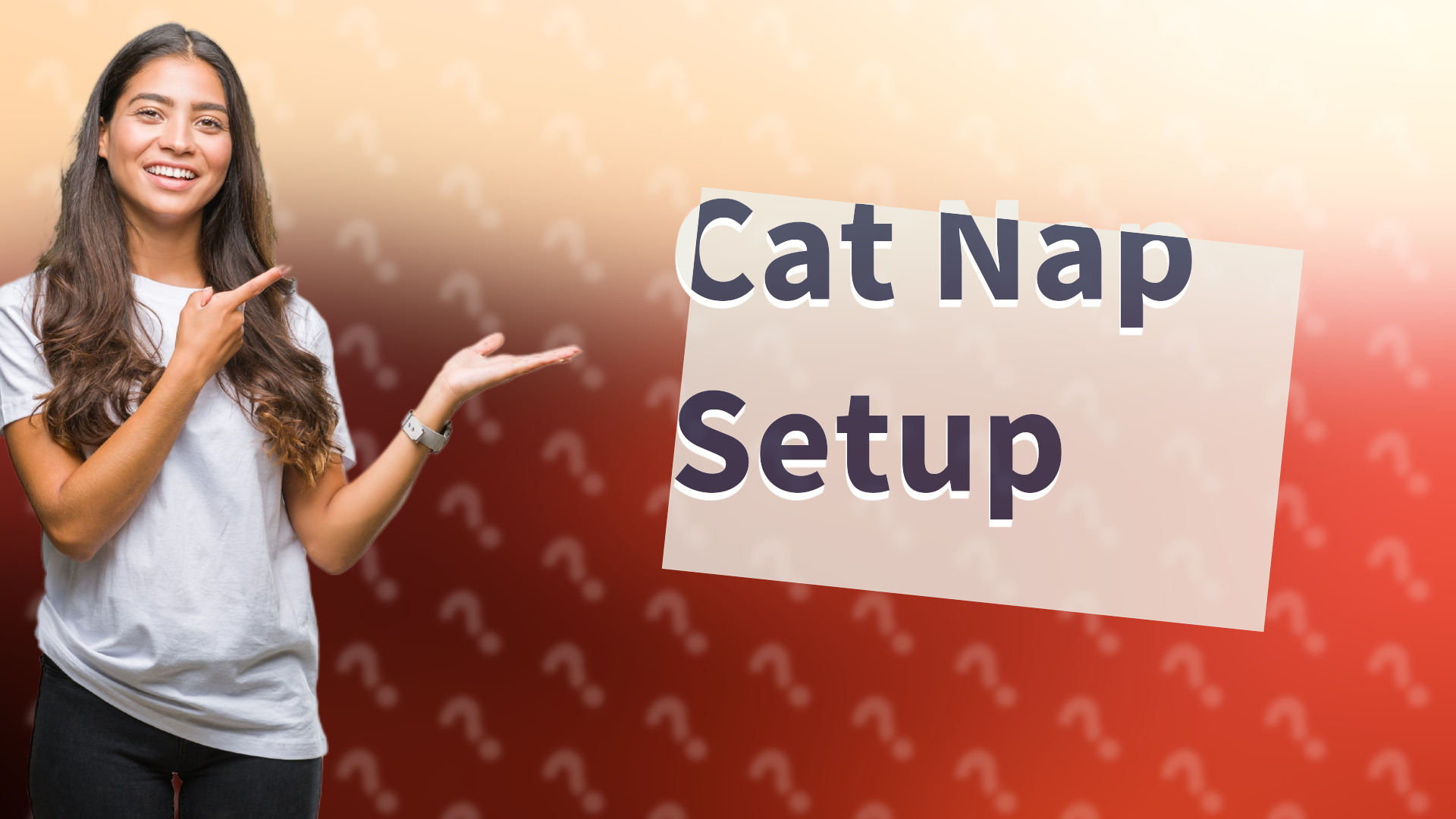 Cat Nap Setup