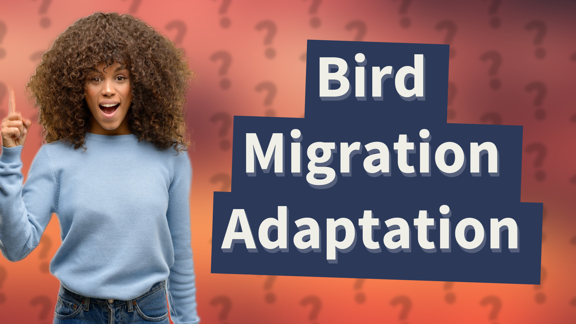 Bird Migration Adaptation