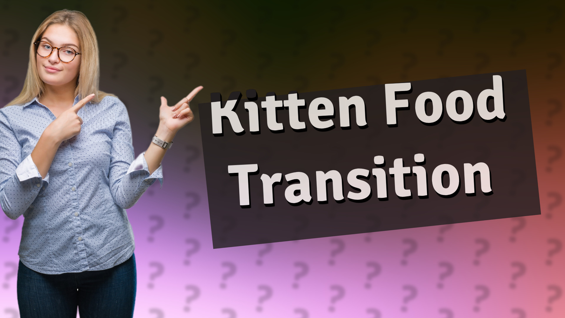 Kitten Food Transition