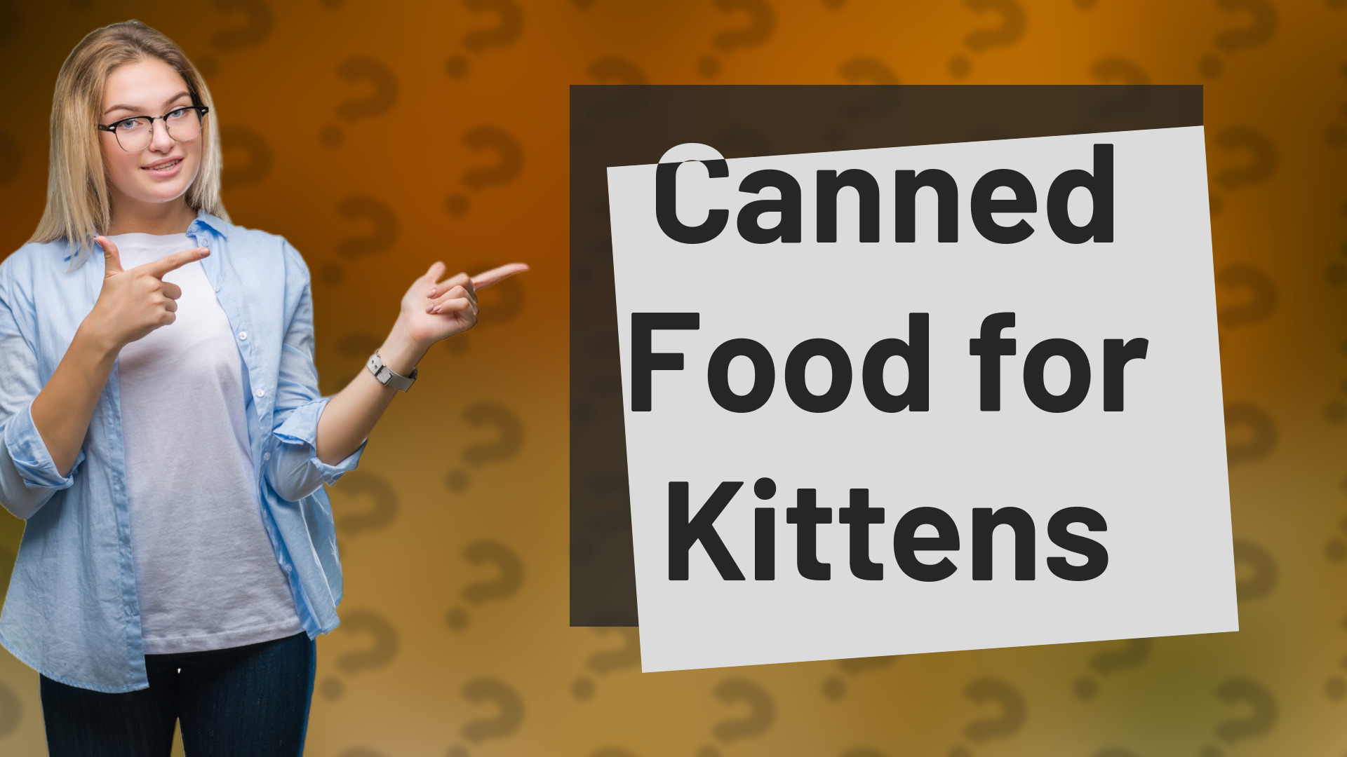 Canned Food for Kittens