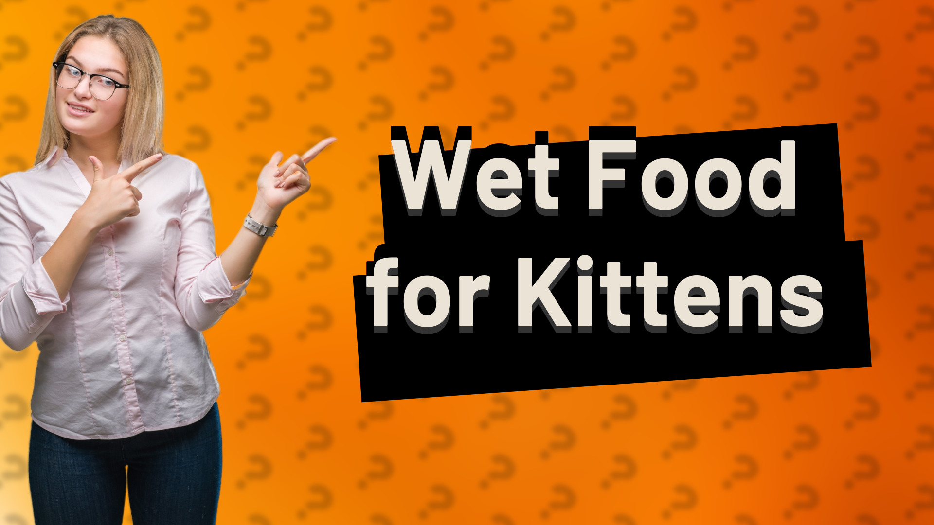 Wet Food for Kittens