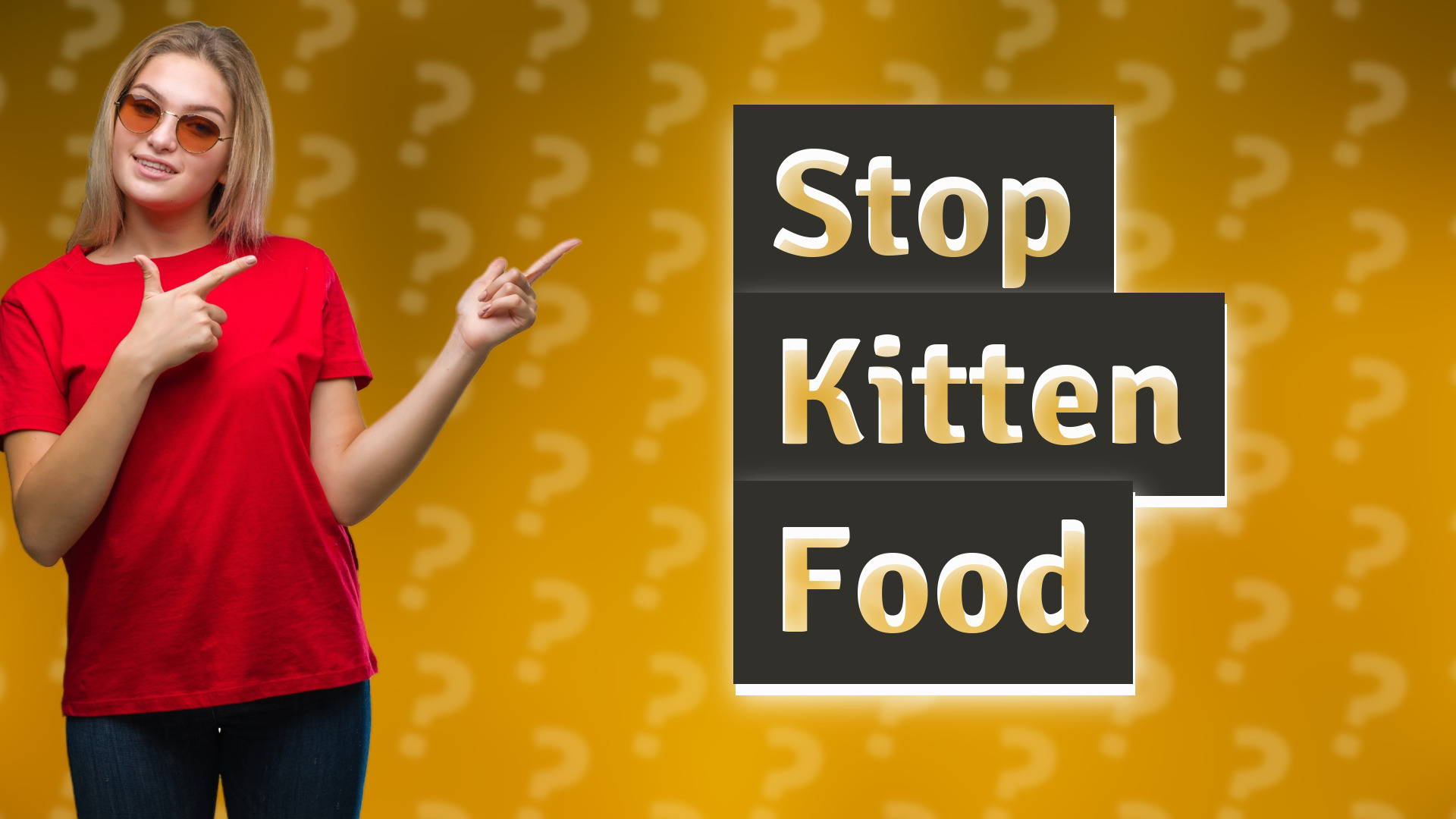Stop Kitten Food
