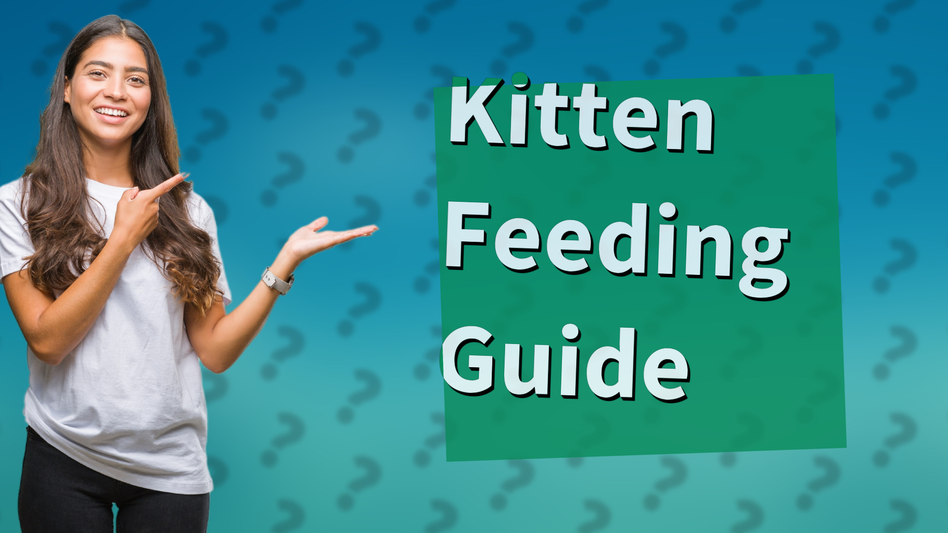 Kitten Feeding Guide