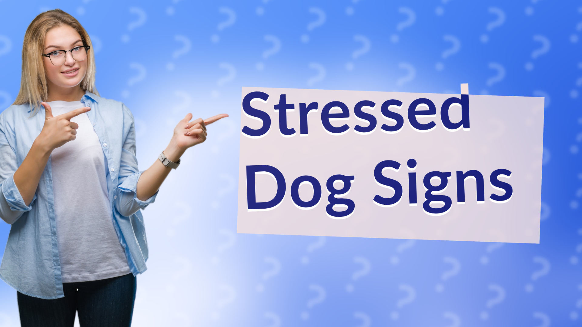 Stressed Dog Signs