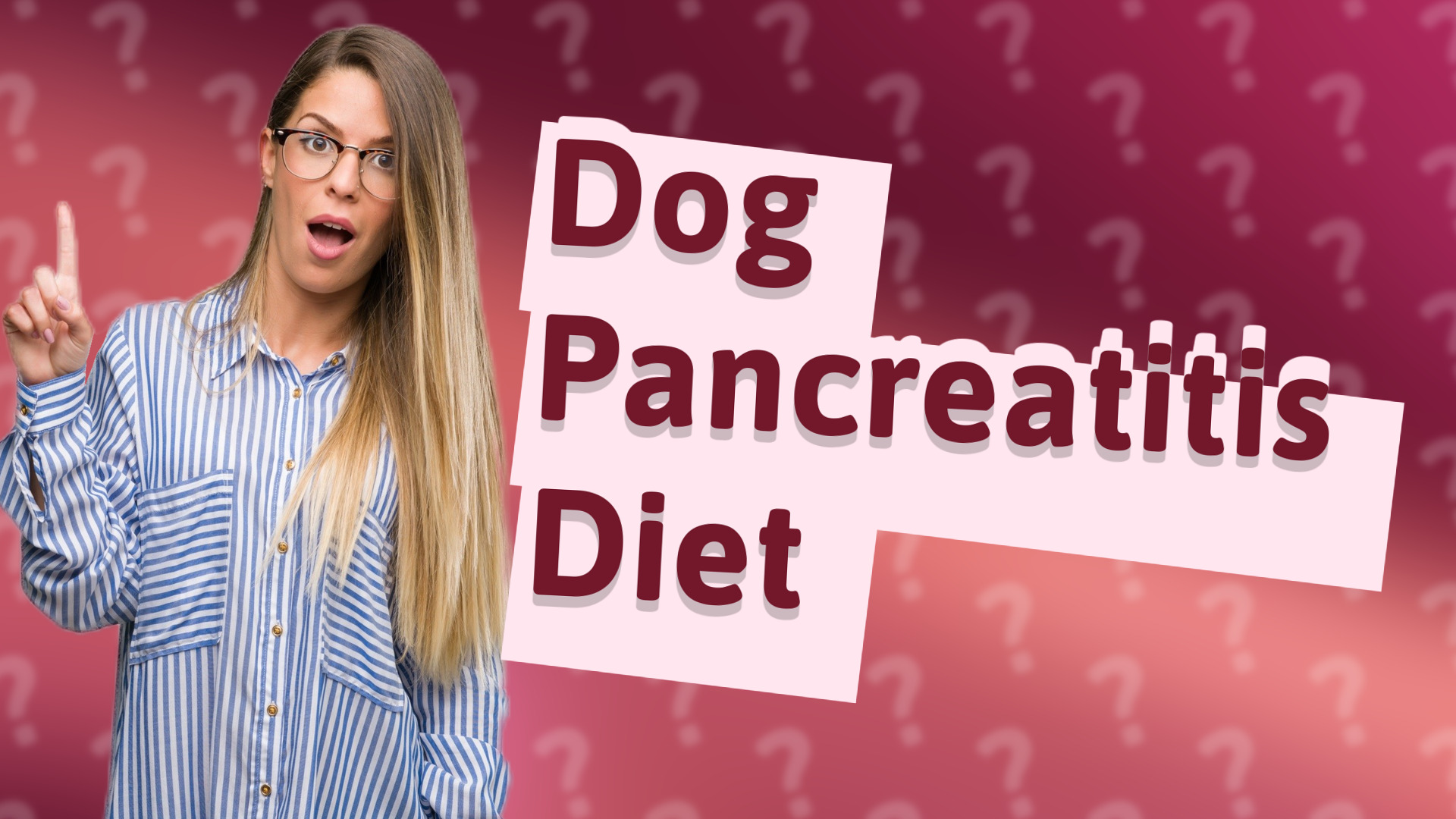 Dog Pancreatitis Diet