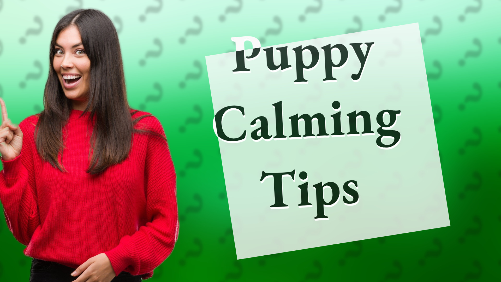 Puppy Calming Tips