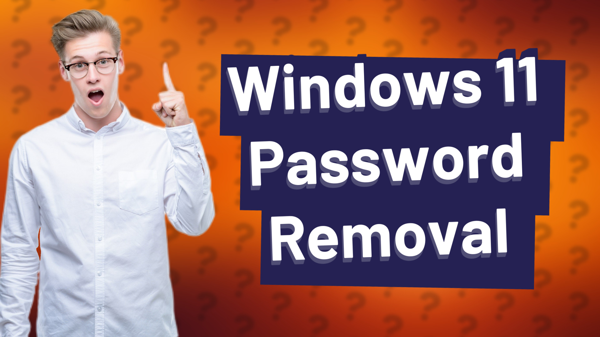 Windows 11 Password Removal