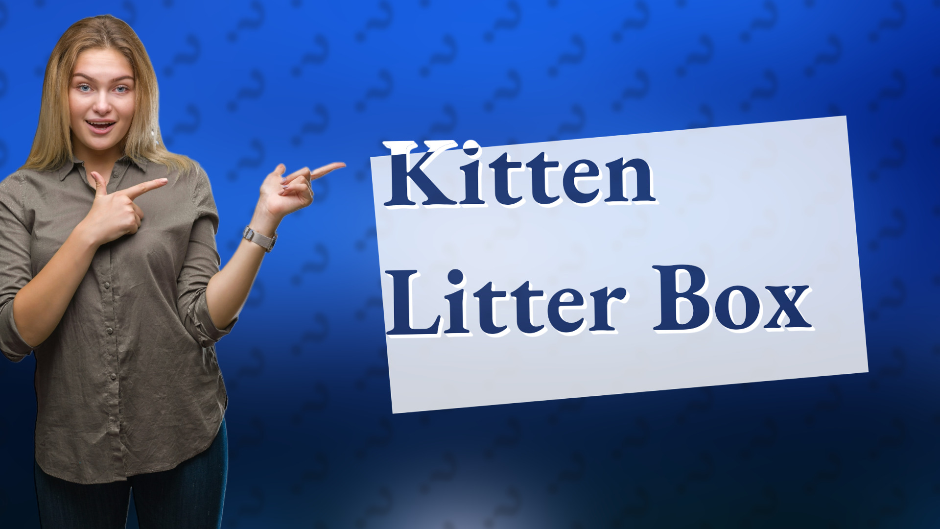 Kitten Litter Box