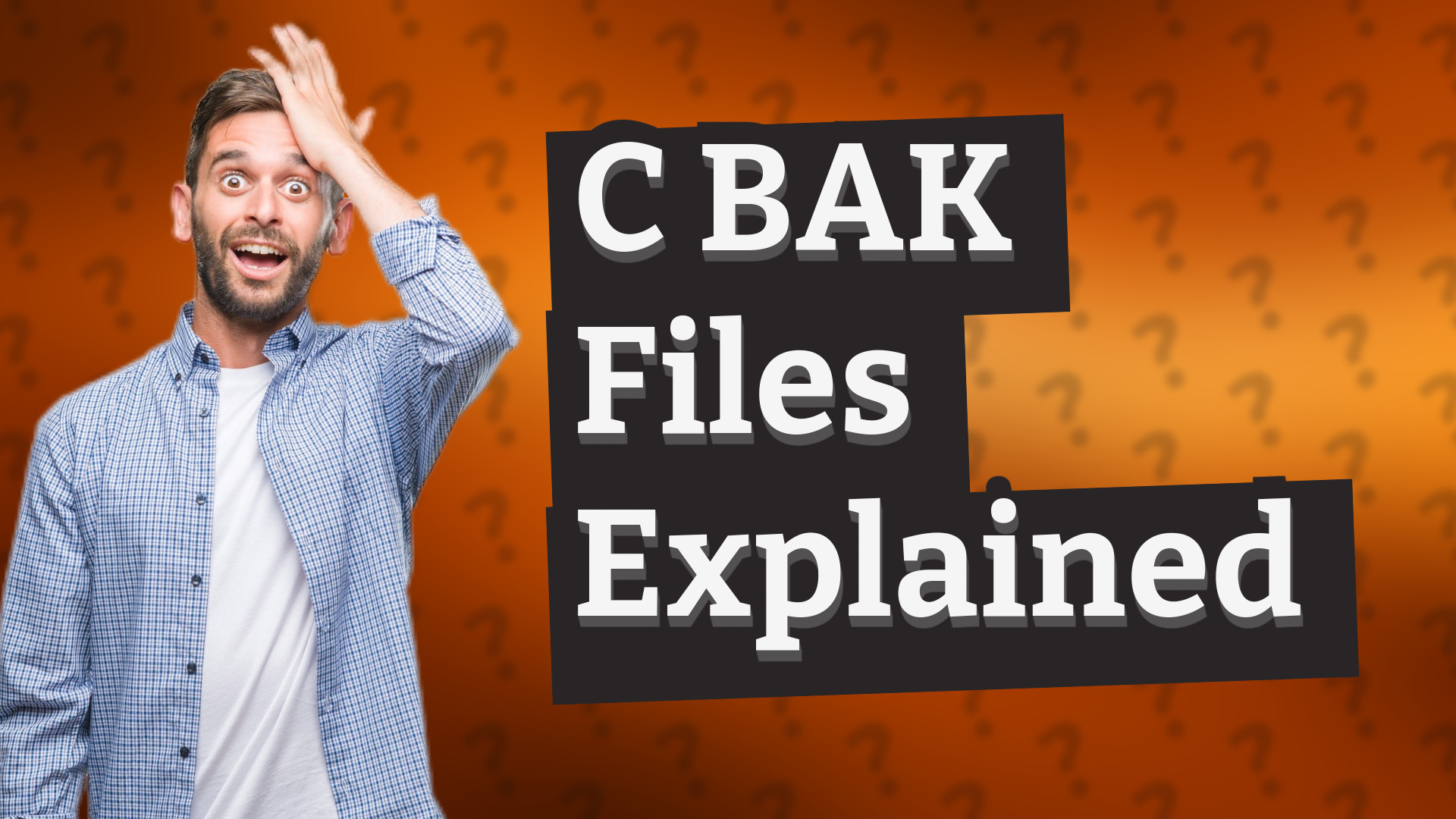 C BAK Files Explained