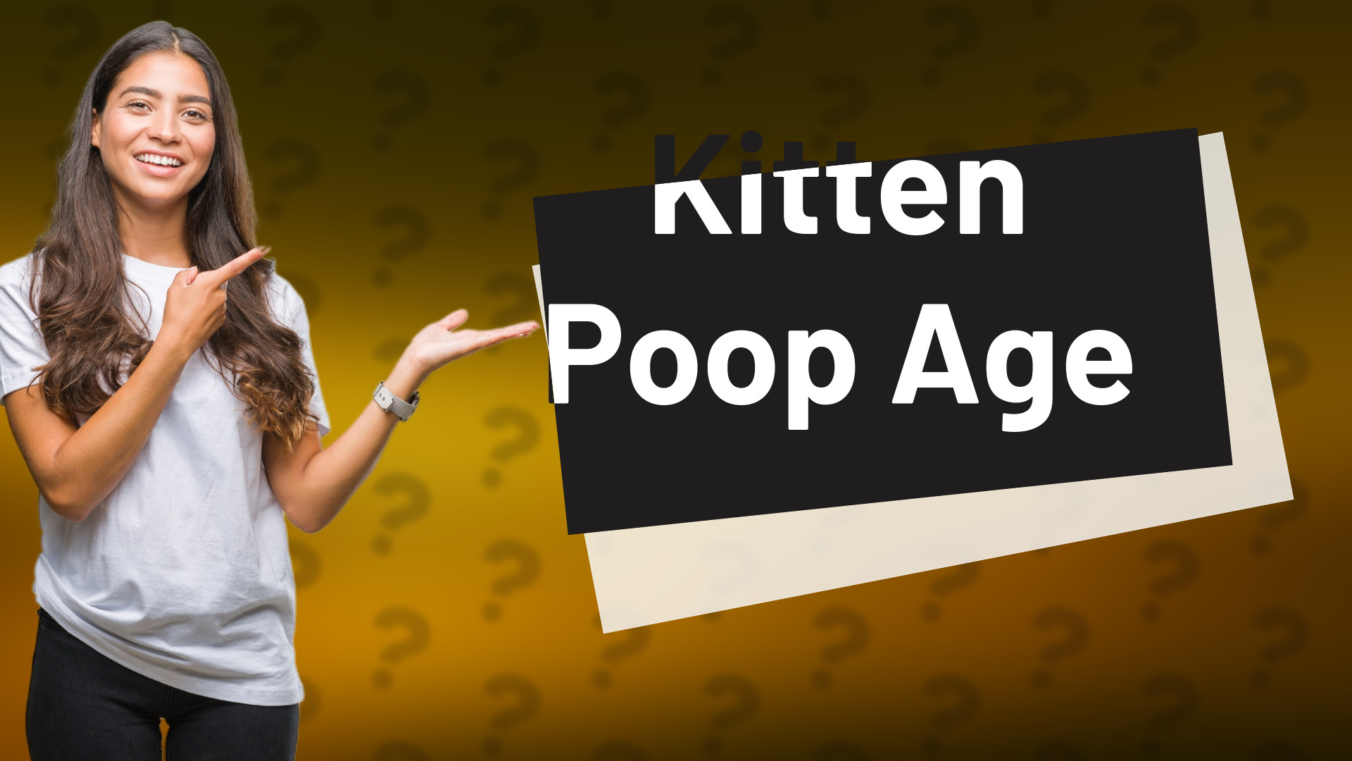 Kitten Poop Age