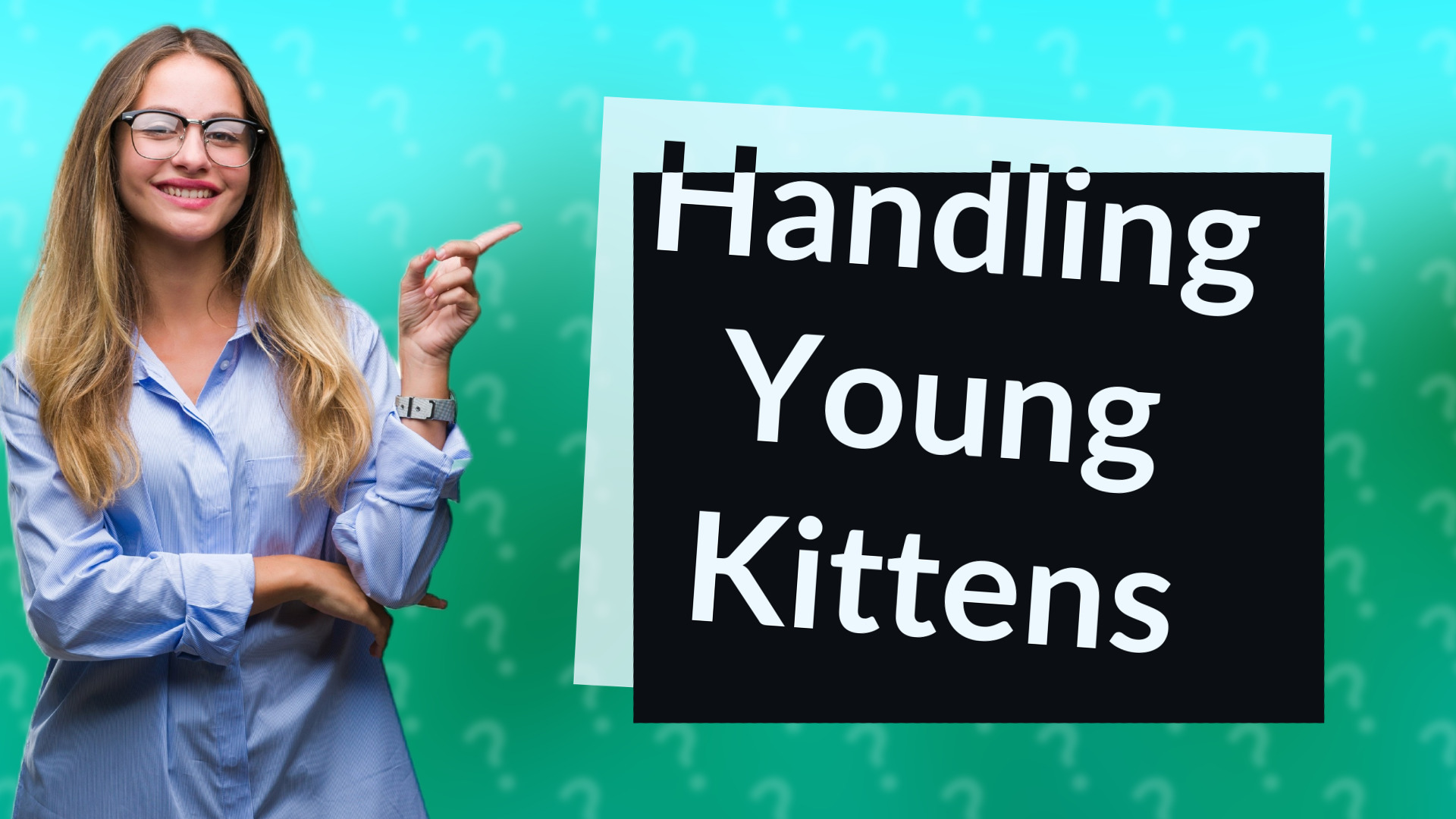 Handling Young Kittens